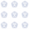 FAAC 109781