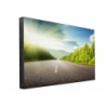 DS-D2046NL-B